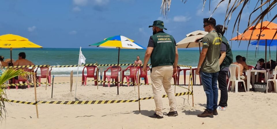 Atenção: ninho de tartaruga encontrado na praia de Pirangi. Fotografia de: Ney Douglas.