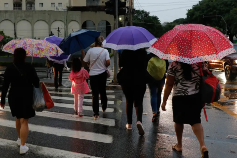 Fortes chuvas em São Paulo provocam alagamentos e queda de árvores. Foto: Fernando Frazão/Agência Brasil.