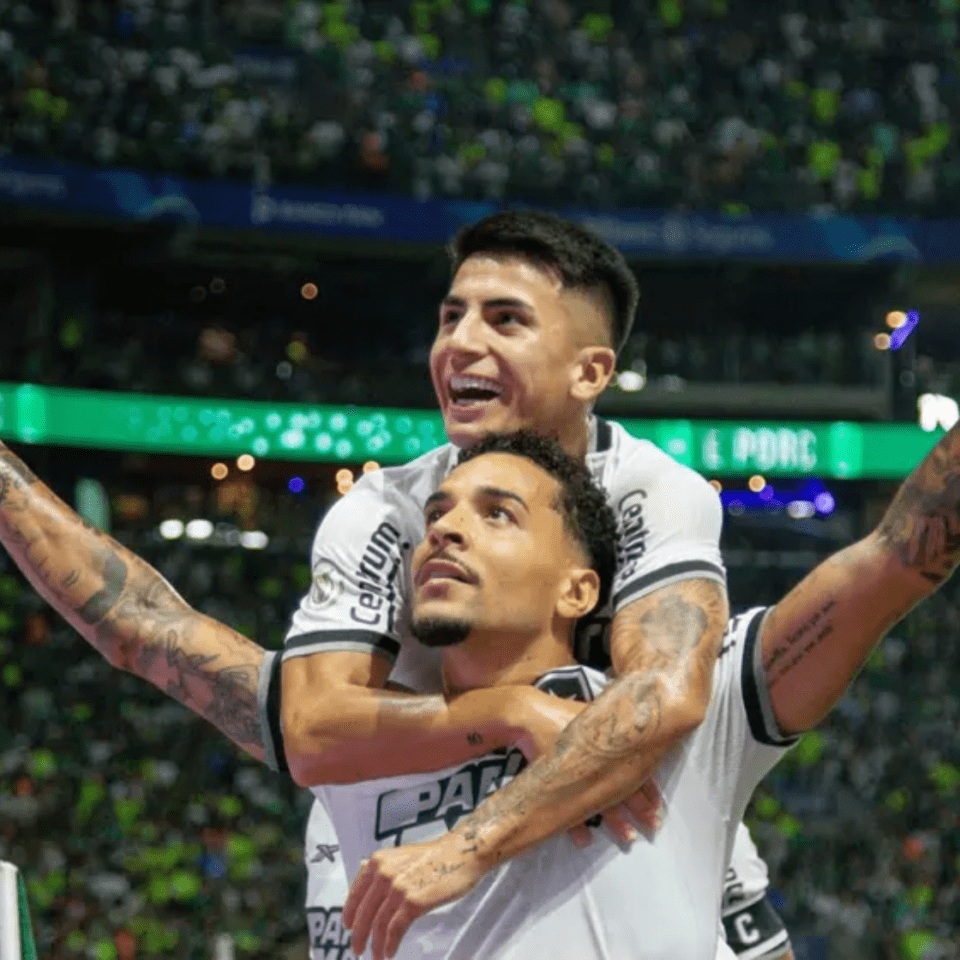 Botafogo vence o Palmeiras