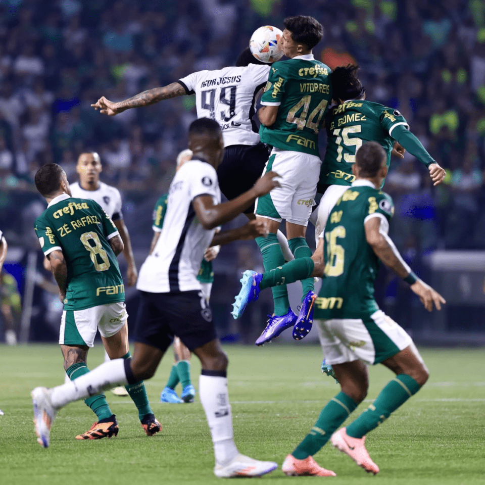 Botafogo x Palmeiras