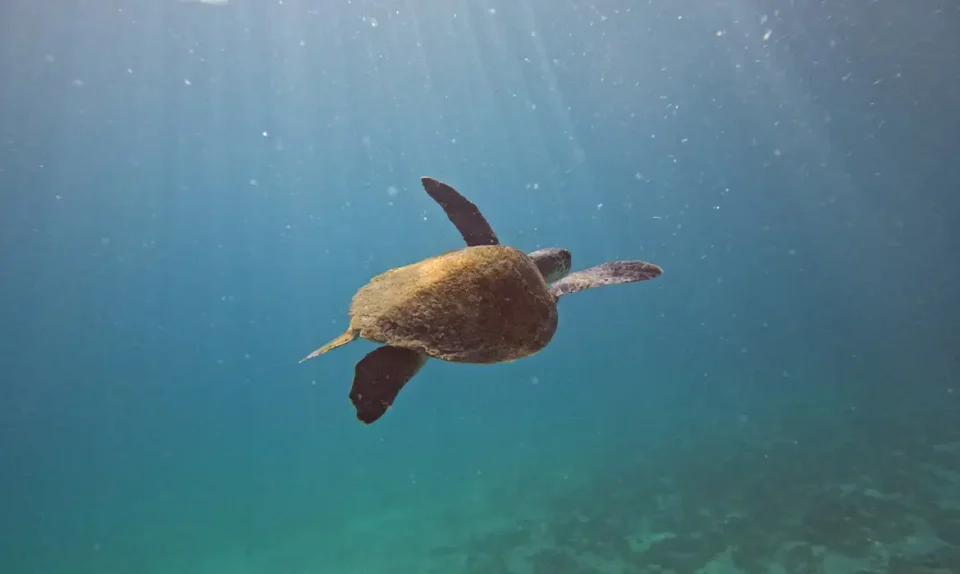 © Fernando Frazão/Agência Brasil